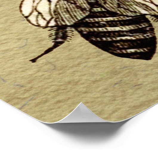 Queen Bee Wildlife Bug Insect Poster (Ecke)