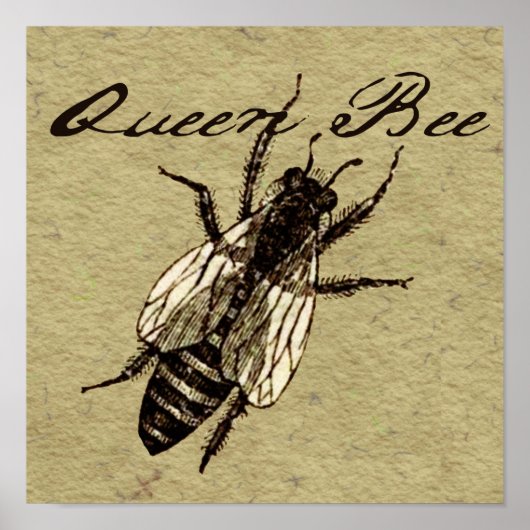 Queen Bee Wildlife Bug Insect Poster (Vorne)