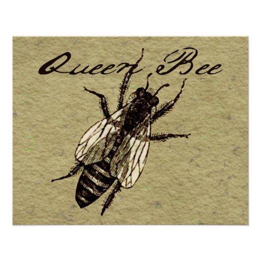 Queen Bee Wildlife Bug Insect Poster (Vorderseite)