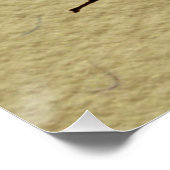 Queen Bee Wildlife Bug Insect Poster (Ecke)