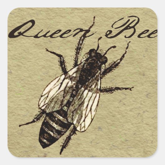 Queen Bee Wildlife Bug Insect Quadratischer Aufkleber (Vorderseite)