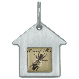 Queen Bee Wildlife Bug Insect Tiermarke