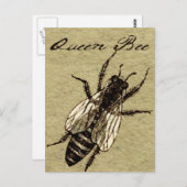 Queen Bee Wildlife Flying Bug Insekt Postkarte (Vorne/Hinten)