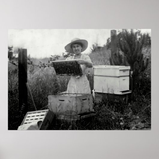 QUEEN BEEKEEPER 19. Jahrhundert Poster (Vorne)