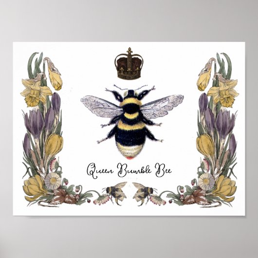 Queen Bumble Bee in Blume Frame Poster (Vorne)