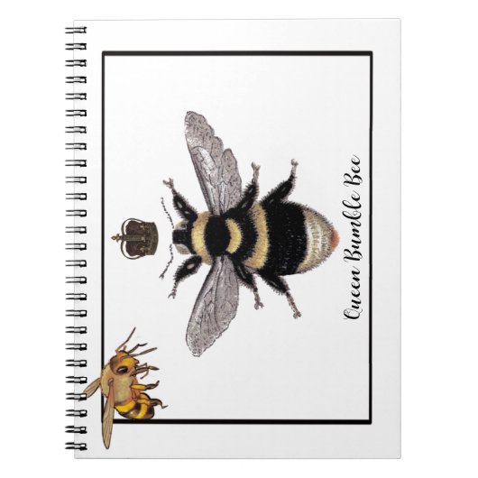 Queen Bumble Bee Notizblock (Vorderseite)