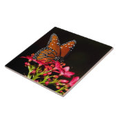 Queen Butterfly auf rosa Blume Fliese (Seite)