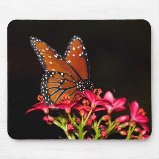 Queen Butterfly auf rosa Blume Mousepad (Vorne)