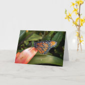 Queen Butterfly Card Karte (Gelbe Blume)