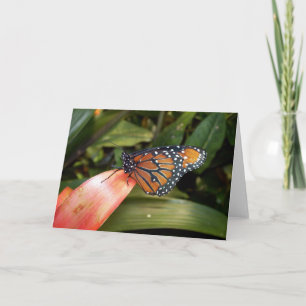 Queen Butterfly Card Karte