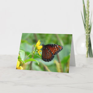 Queen Butterfly Grußkarte Karte