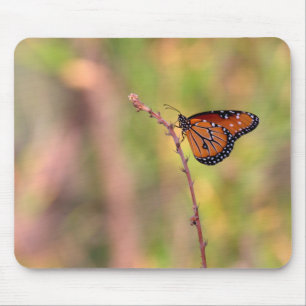 Queen Butterfly im hellen Foto Print Mousepad