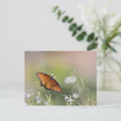 Queen Butterfly im Morgenlicht Postkarte (Stehend Vorderseite)