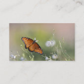 Queen Butterfly in Morgenlicht Visitenkarte (Rückseite)