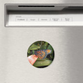Queen Butterfly Magnet (In Situ (Geschirrspüler))