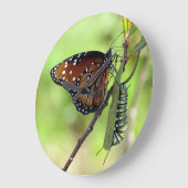 Queen Butterfly / Monarch Raupe - Wall Clock Große Wanduhr (Winkel)