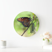 Queen Butterfly / Monarch Raupe - Wall Clock Große Wanduhr (Zuhause)