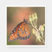 Queen butterfly on a branch serviette (Vorderseite)