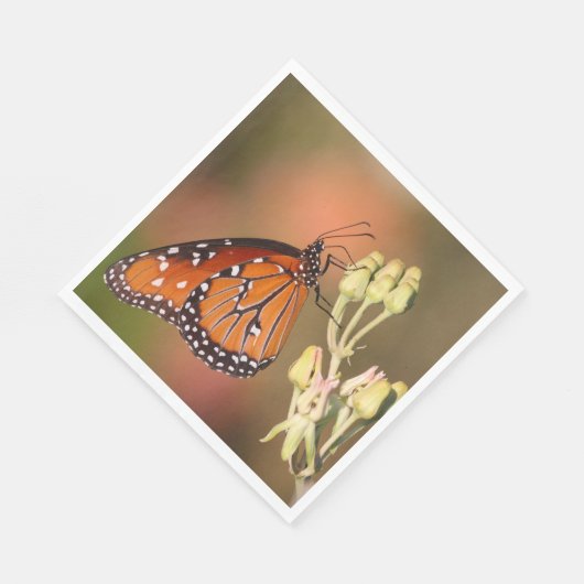 Queen butterfly on a branch serviette (Ecke)