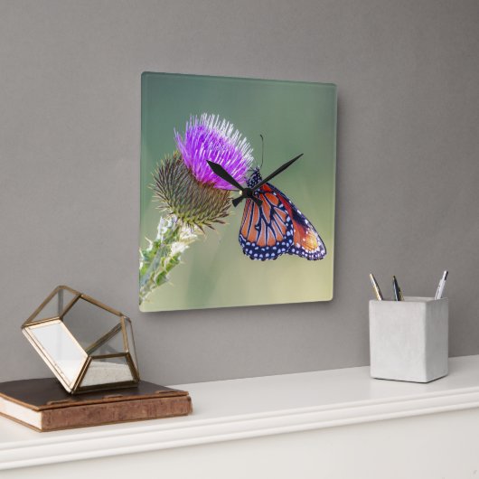 Queen Butterfly on a Purple Blessed Milkthistle Quadratische Wanduhr (Büro)