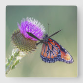Queen Butterfly on a Purple Blessed Milkthistle Quadratische Wanduhr (Vorderseite)