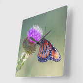 Queen Butterfly on a Purple Blessed Milkthistle Quadratische Wanduhr (Winkel)