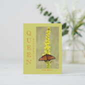 QUEEN BUTTERFLY POSTKARTE (Stehend Vorderseite)