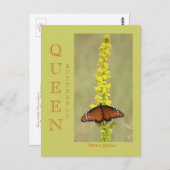 QUEEN BUTTERFLY POSTKARTE (Vorne/Hinten)