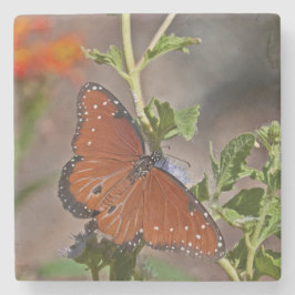 Queen Butterfly Steinuntersetzer