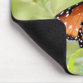 Queen Butterfly Sunning on Milkweed Mousepad (Ecke)