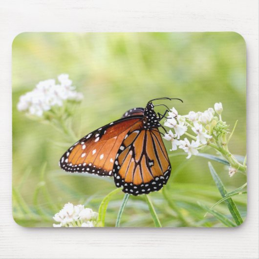 Queen Butterfly Sunning on Milkweed Mousepad (Vorne)