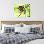 Queen Butterfly und Monarch Raupe Leinwand (Insitu (Schlafzimmer))