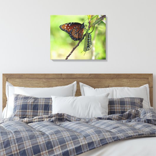 Queen Butterfly und Monarch Raupe Leinwand (Insitu (Schlafzimmer))