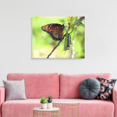 Queen Butterfly und Monarch Raupe Leinwand (Insitu (Wohnzimmer))
