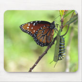 Queen Butterfly und Monarch Raupe Mouse Pad Mousepad (Vorne)