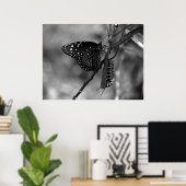 Queen Butterfly w Monarch Raupe in B & W Poster (Heimbüro)