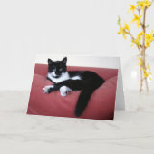 Queen Cat 2 Foto Card / Bruderkatze im Bad Ref Karte (Gelbe Blume)