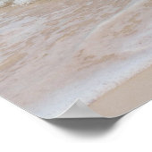 Queen Conch am Strand, Bahamas Poster (Ecke)