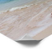 Queen Conch am Strand, Bahamas Poster (Ecke)