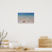 Queen Conch am Strand, Bahamas Poster (Küche)