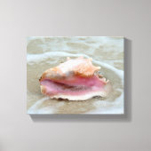 Queen Conch am Strand Leinwanddruck (Vorderseite)