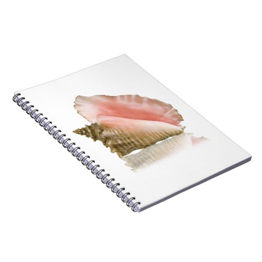 Queen Conch Notebook Notizblock (Rechte Seite)