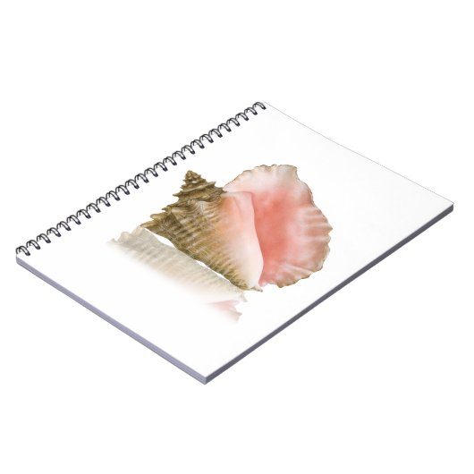 Queen Conch Notebook Notizblock (Linke Seite)