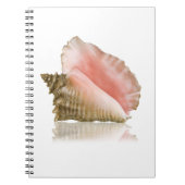 Queen Conch Notebook Notizblock (Vorderseite)