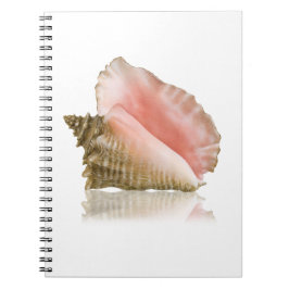 Queen Conch Notebook Notizblock