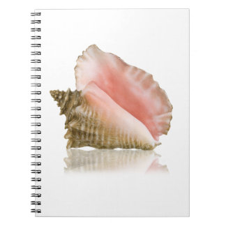 Queen Conch Notebook Notizblock