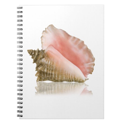 Queen Conch Notebook Notizblock (Vorderseite)