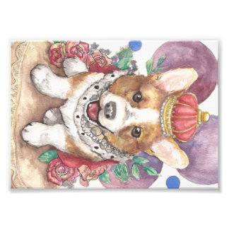 Queen Corgi Fotodruck