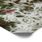 Queen Elizabeth 1. Lichen Poster (Ecke)