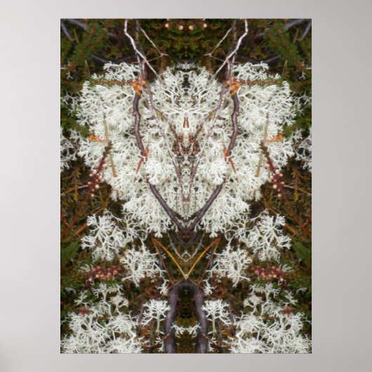 Queen Elizabeth 1. Lichen Poster (Vorne)